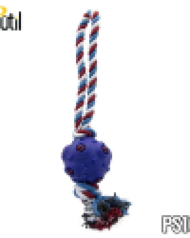 Brinquedo pet - mordedor bola com corda 48cm