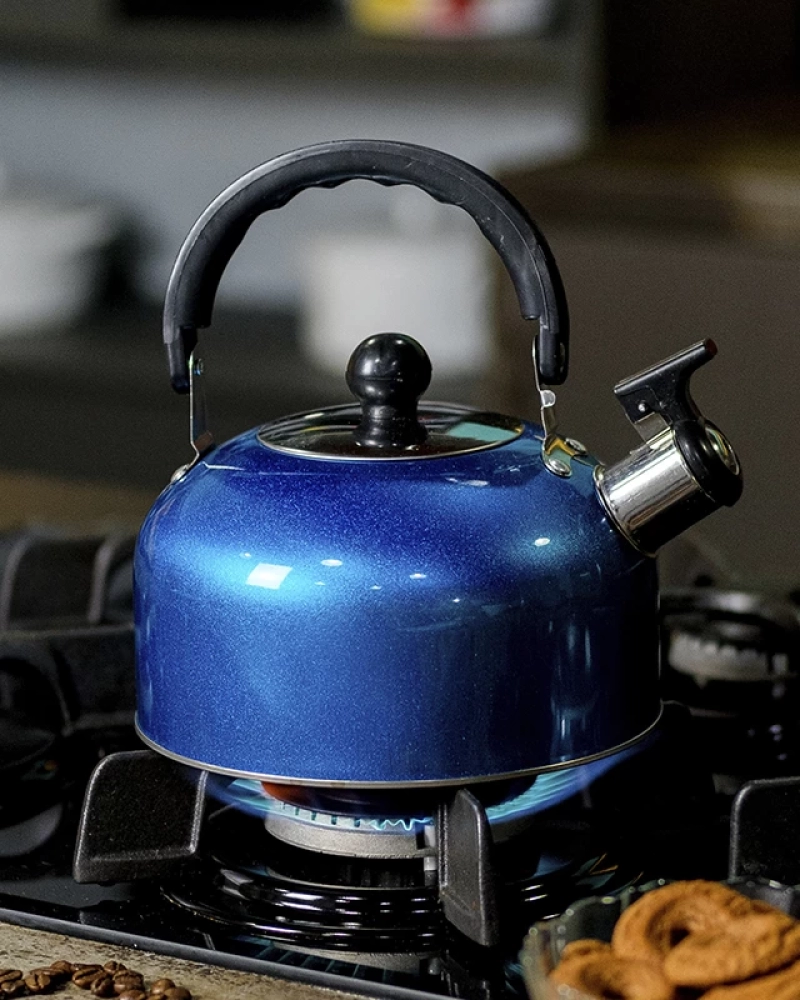 Chaleira aço inox 2l - 19*19*13,6cm